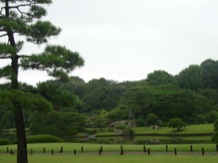 Japan-jardin-24-tb
